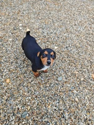 WhatsApp Bild 2025 11 22 um 17.53.46 a35926af