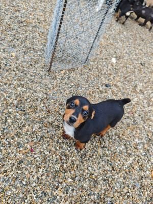 WhatsApp Bild 2025 11 22 um 17.53.47 f0e92388