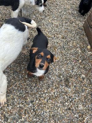 WhatsApp Bild 2025 11 22 um 17.54.16 b4b9b29f