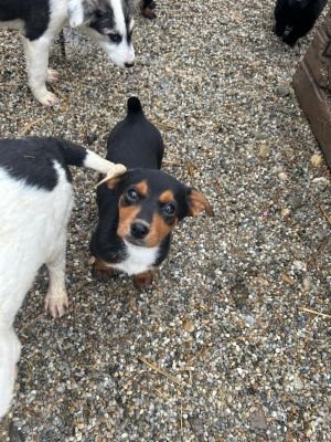 WhatsApp Bild 2025 11 22 um 17.54.16 e9290ce9