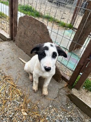 WhatsApp Bild 2025 11 22 um 18.50.42 bfff4299