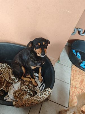 WhatsApp Bild 2025 11 23 um 10.30.23 ff873f48