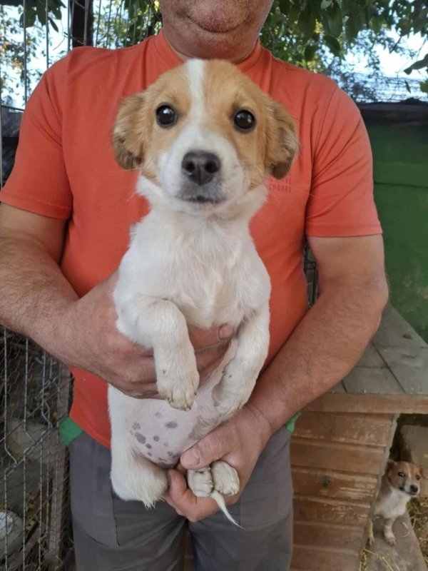 Whatsapp image 2025 10 25 at 13.22.19 (1)