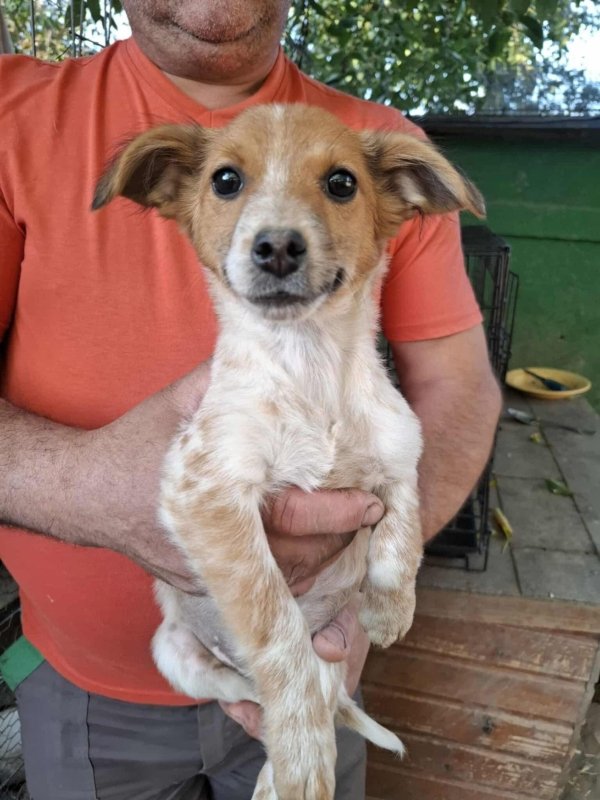 Whatsapp image 2025 10 25 at 13.22.19