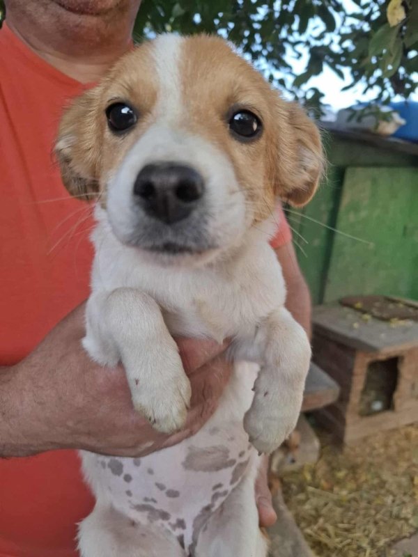 Whatsapp image 2025 10 25 at 13.22.20 (1)