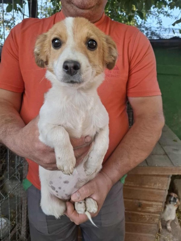 Whatsapp image 2025 10 25 at 13.22.20