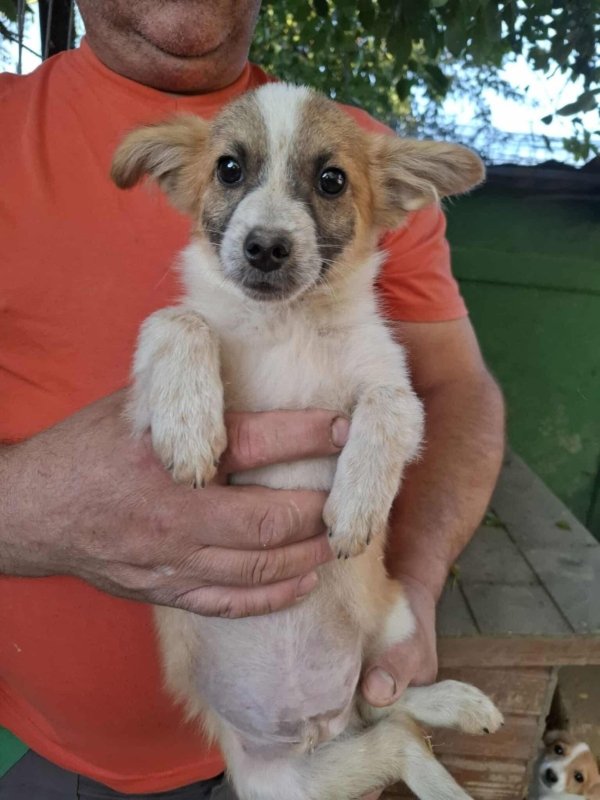 Whatsapp image 2025 10 25 at 13.22.20