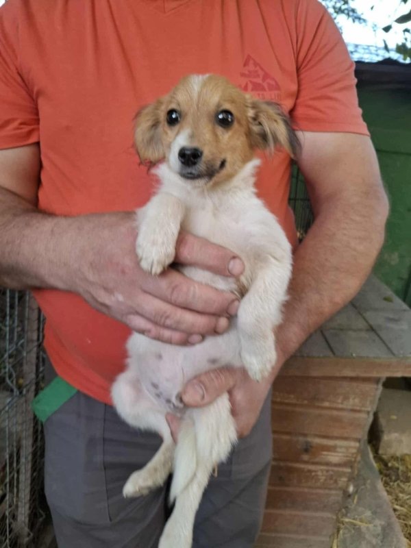 Whatsapp image 2025 10 25 at 13.22.24 (2)