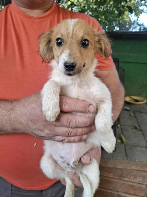 Whatsapp image 2025 10 25 at 13.22.24 (3)