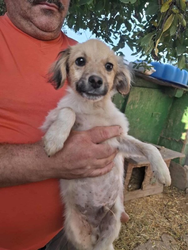 Whatsapp image 2025 10 25 at 13.22.25 (2)