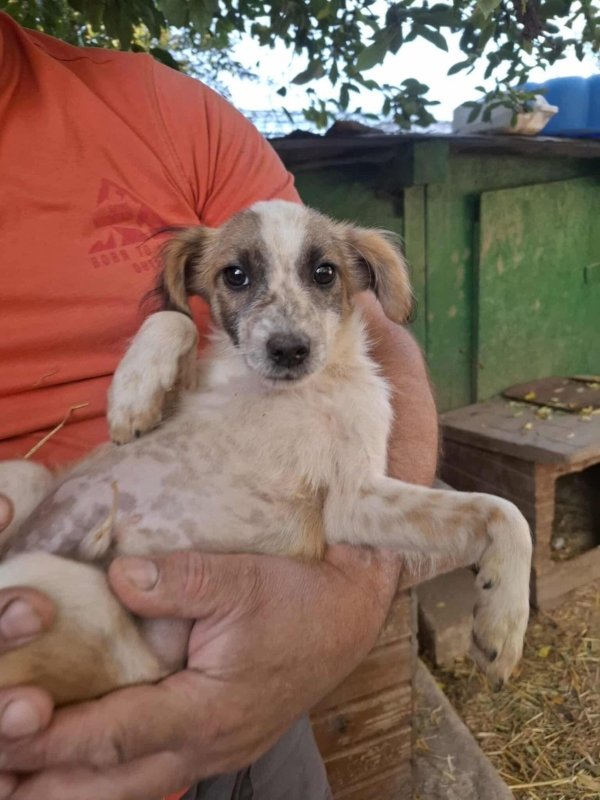 Whatsapp image 2025 10 25 at 13.22.25 (4)