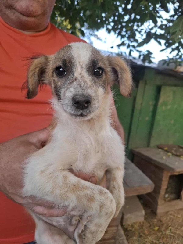 Whatsapp image 2025 10 25 at 13.22.25 (5)