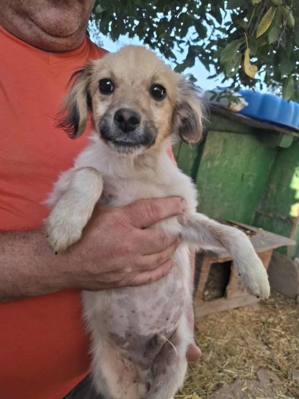 Whatsapp image 2025 10 25 at 13.22.25