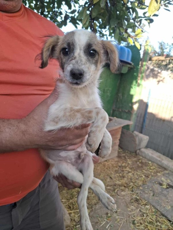 Whatsapp image 2025 10 25 at 13.22.25