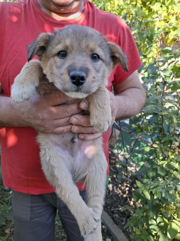 WhatsApp Image 2025 10 25 at 13.27.17