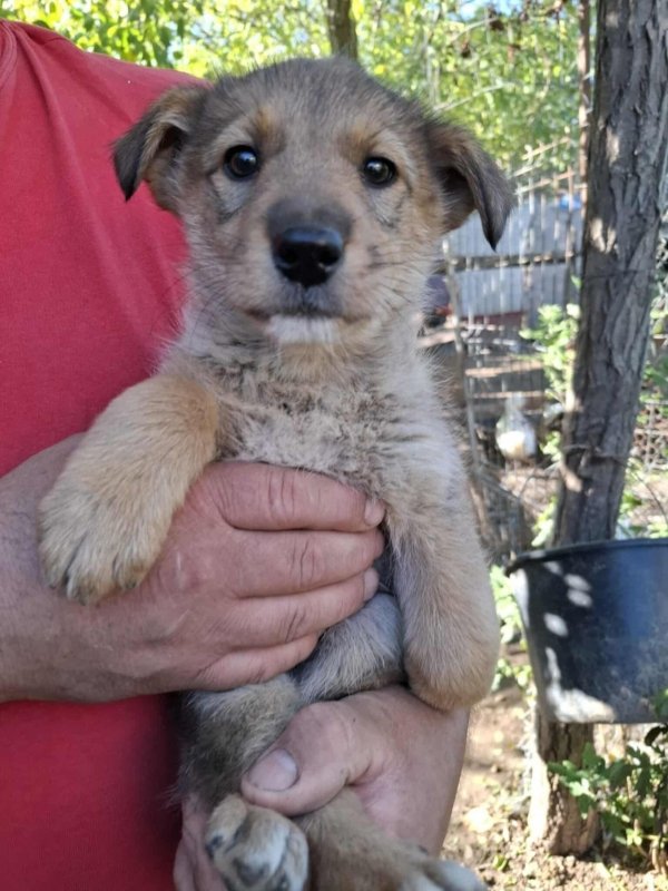 WhatsApp Image 2025 10 25 at 13.27.18 (1)