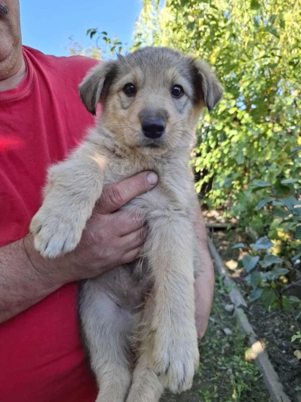 WhatsApp Image 2025 10 25 at 13.27.18 (1)