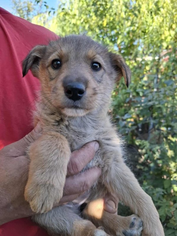 WhatsApp Image 2025 10 25 at 13.27.18 (2)