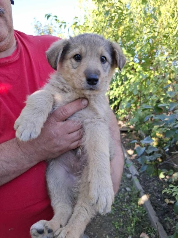 WhatsApp Image 2025 10 25 at 13.27.18 (3)