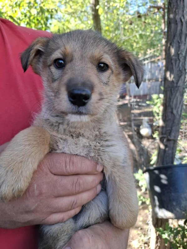 WhatsApp Image 2025 10 25 at 13.27.18