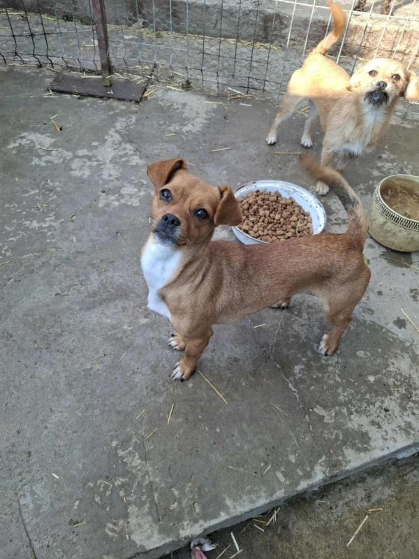 Whatsapp image 2025 10 25 at 13.27.50 (1)