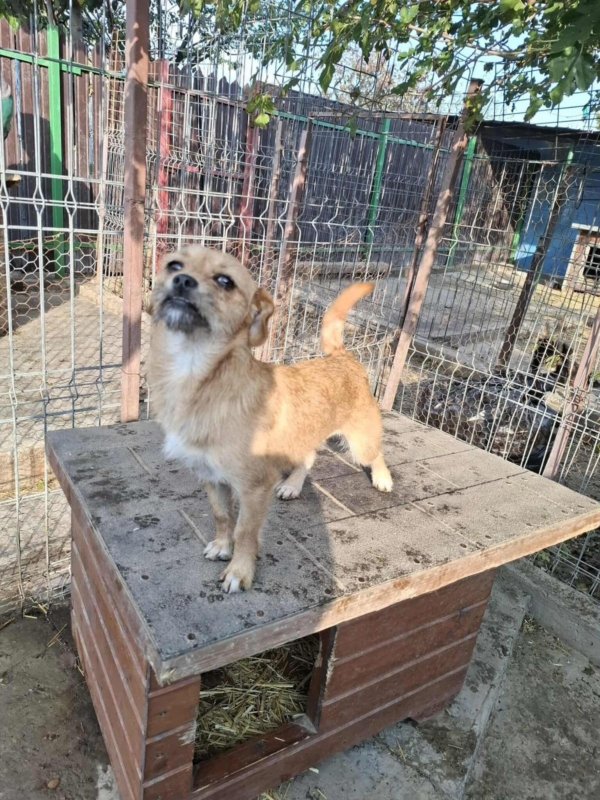 Whatsapp image 2025 10 25 at 13.27.50 (2)