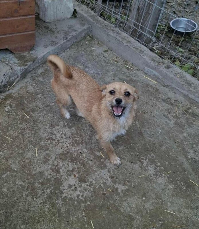 Whatsapp image 2025 10 25 at 13.27.50 (3)