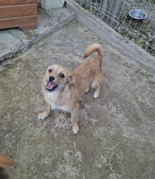 Whatsapp image 2025 10 25 at 13.27.50