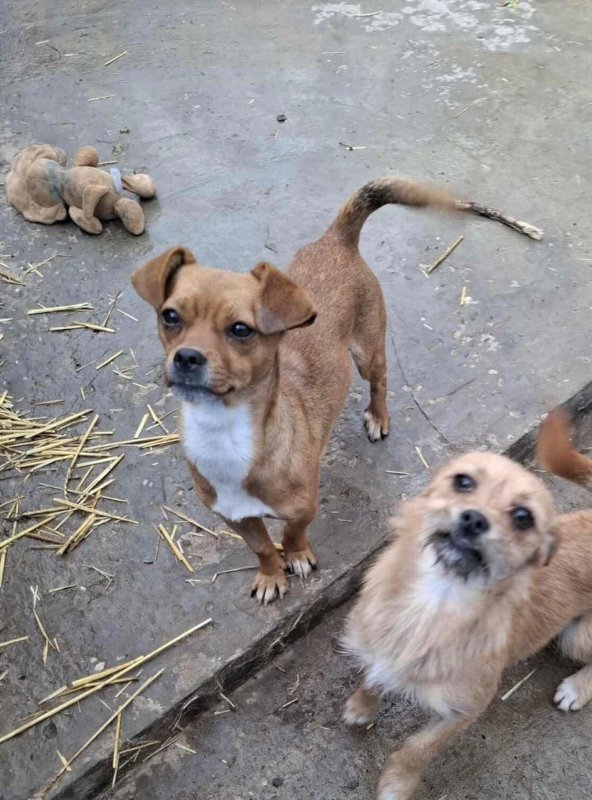 Whatsapp image 2025 10 25 at 13.27.50