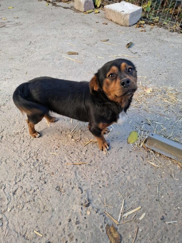 Whatsapp image 2025 10 25 at 17.28.01 (1)