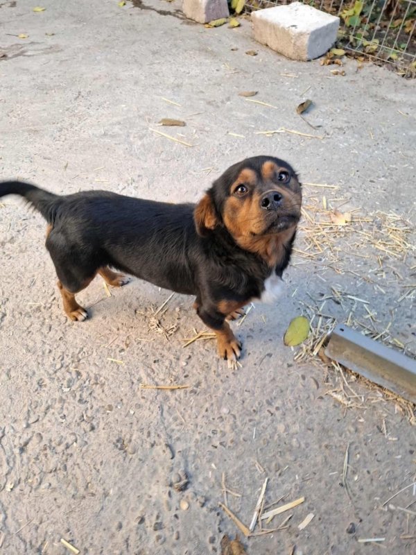 Whatsapp image 2025 10 25 at 17.28.01 (2)