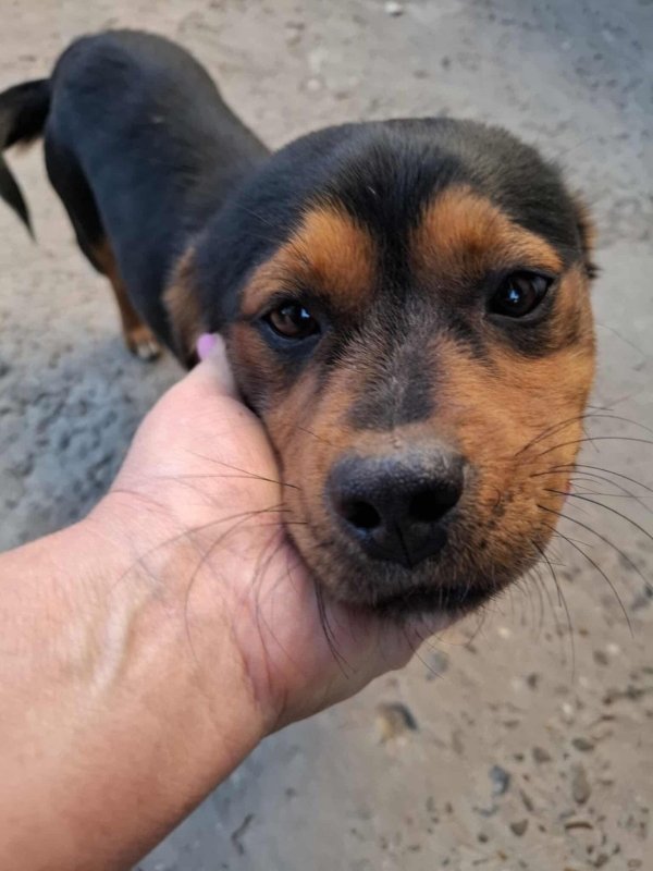 Whatsapp image 2025 10 25 at 17.28.01 (3)