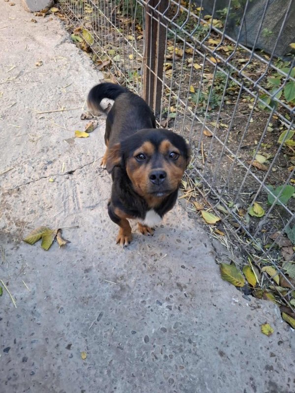 Whatsapp image 2025 10 25 at 17.28.01