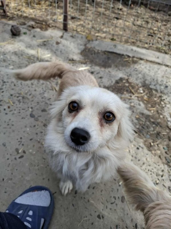 Whatsapp image 2025 11 09 at 20.56.33