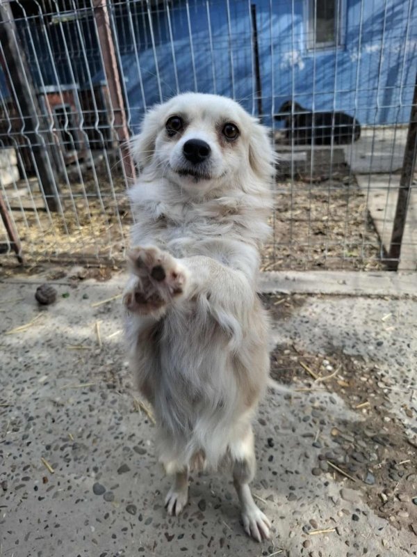 Whatsapp image 2025 11 09 at 20.56.34