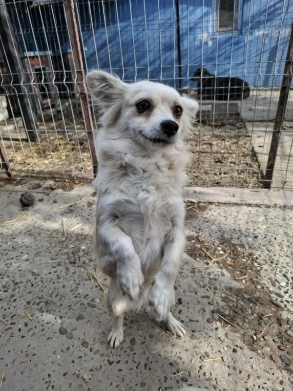 Whatsapp image 2025 11 09 at 20.56.36 (1)