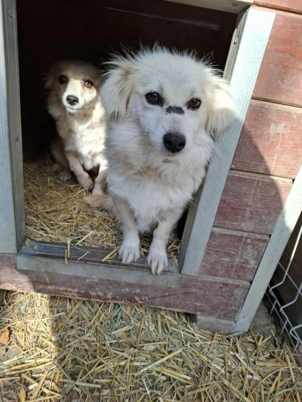 Whatsapp image 2025 11 09 at 20.56.36 (1)