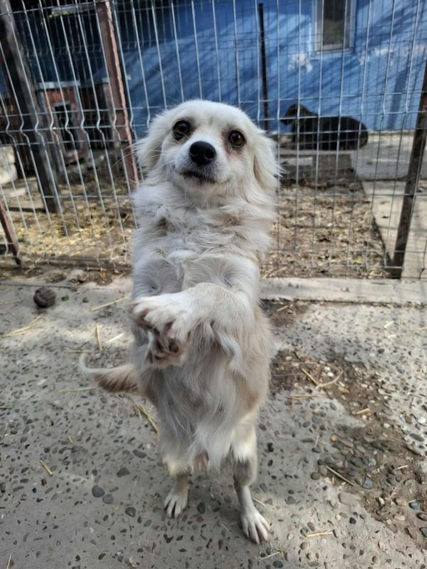 Whatsapp image 2025 11 09 at 20.56.36 (2)