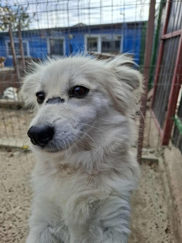 Whatsapp image 2025 11 09 at 20.56.36 (2)