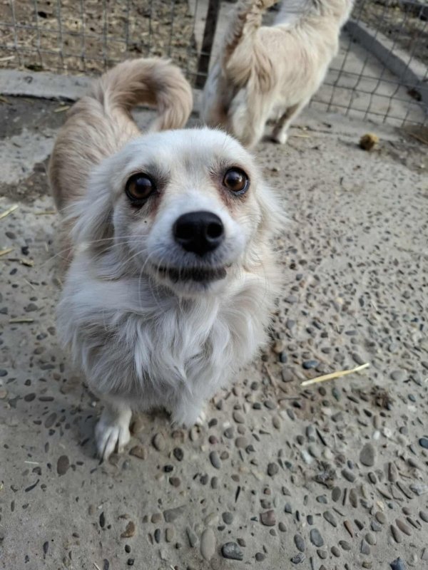 Whatsapp image 2025 11 09 at 20.56.36 (3)