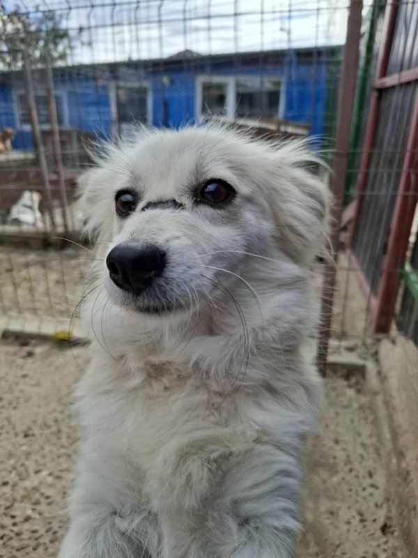 Whatsapp image 2025 11 09 at 20.56.36 (3)