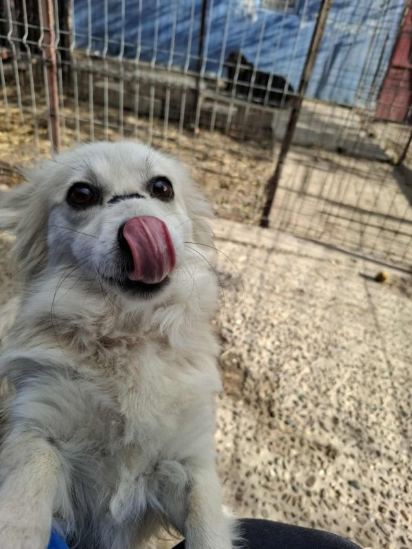 Whatsapp image 2025 11 09 at 20.56.36 (4)