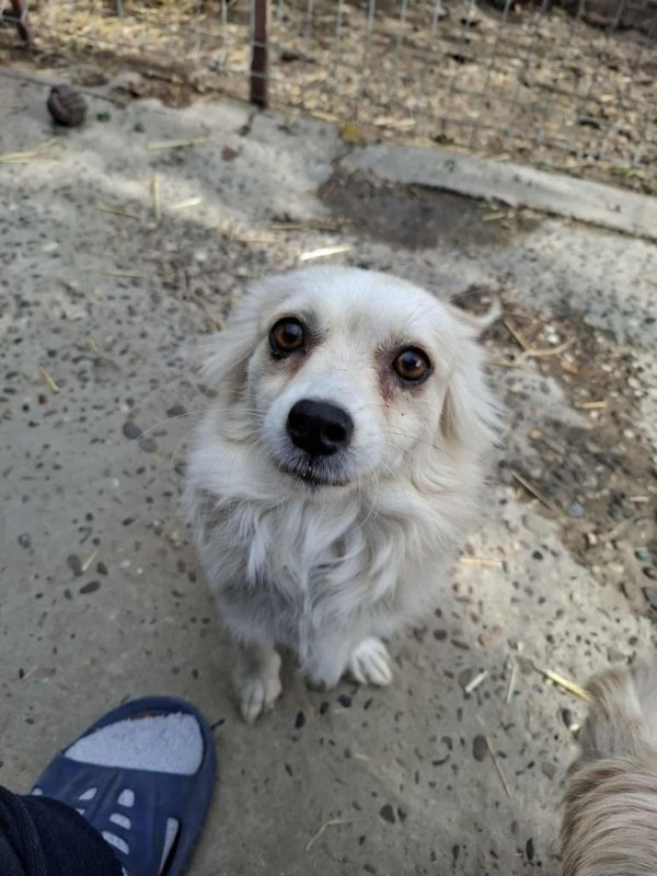 Whatsapp image 2025 11 09 at 20.56.36 (5)