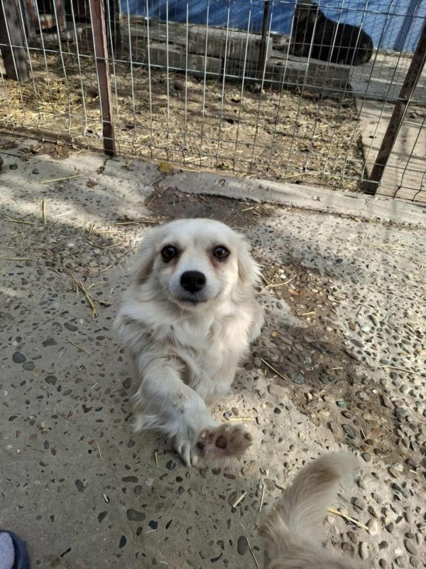 Whatsapp image 2025 11 09 at 20.56.36 (6)