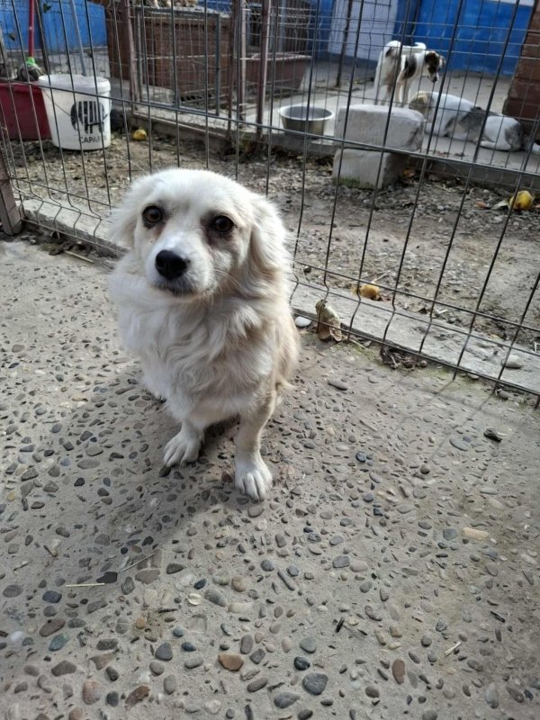 Whatsapp image 2025 11 09 at 20.56.36 (7)