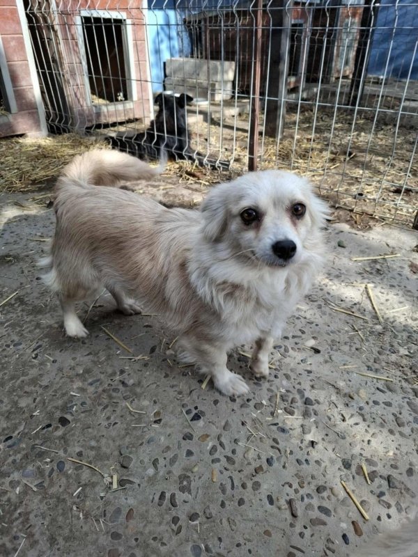 Whatsapp image 2025 11 09 at 20.56.36