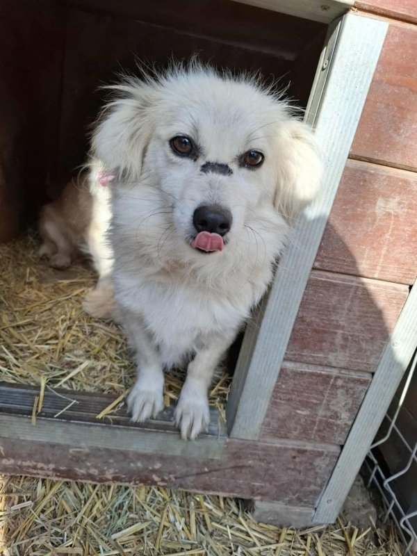 Whatsapp image 2025 11 09 at 20.56.36