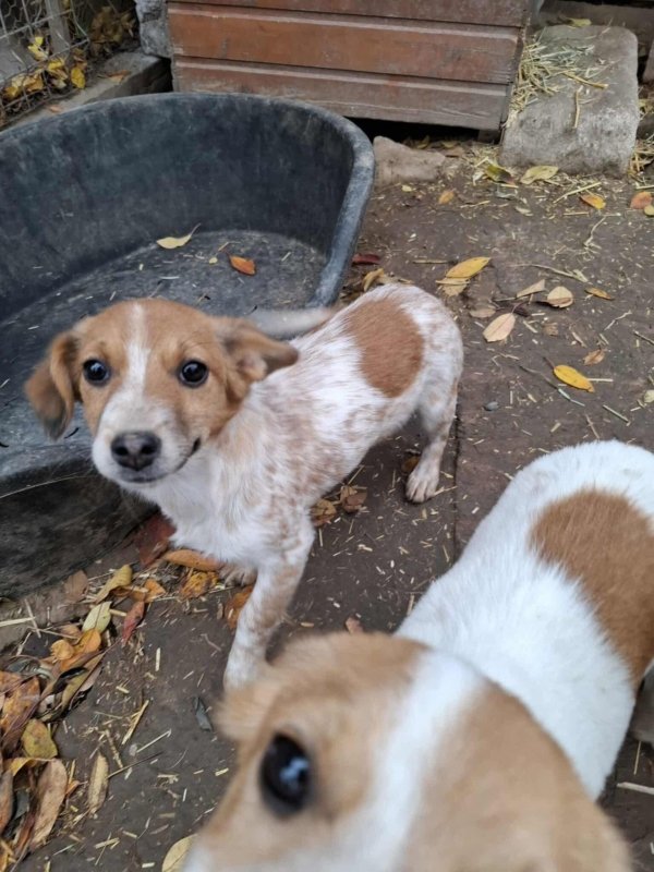 WhatsApp Image 2025 11 09 at 21.37.57 (1)