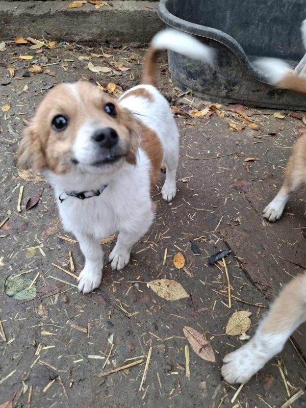 WhatsApp Image 2025 11 09 at 21.37.57 (1)