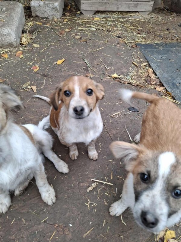 WhatsApp Image 2025 11 09 at 21.37.57 (2)